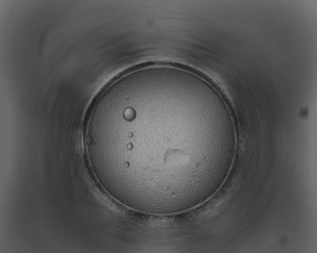 X0000093460887200710191121