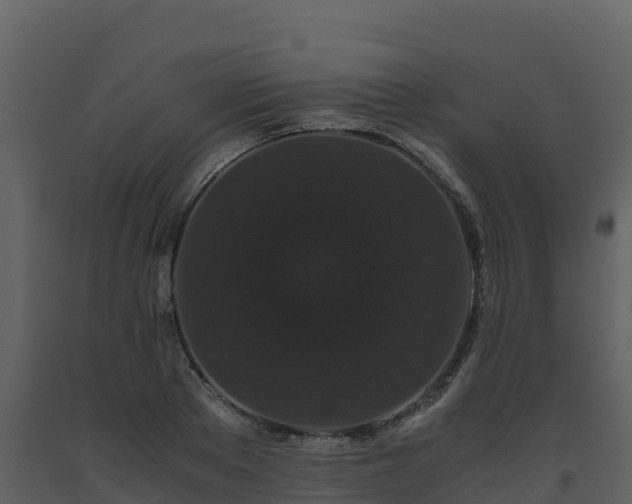 X0000093460889200710191121