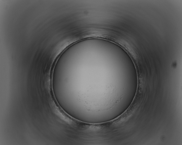 X0000093460890200710191121