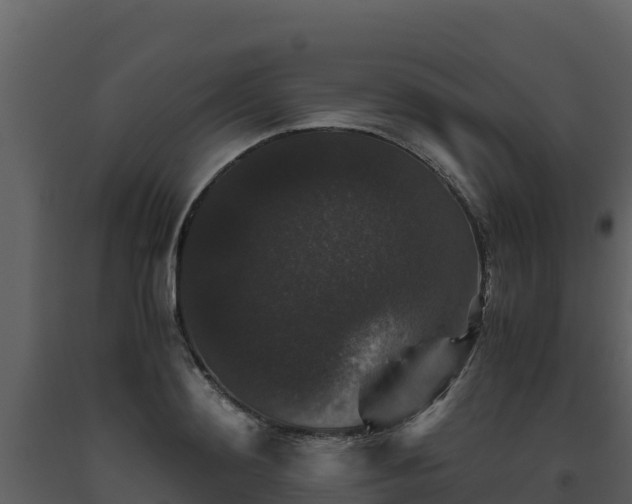 X0000093460892200710191121