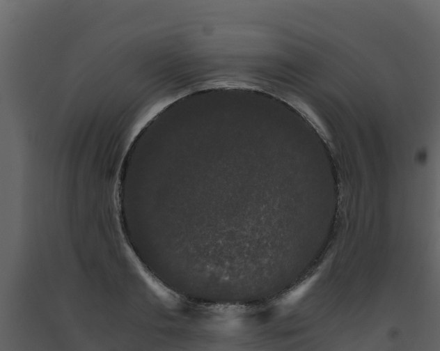 X0000093460893200710191121