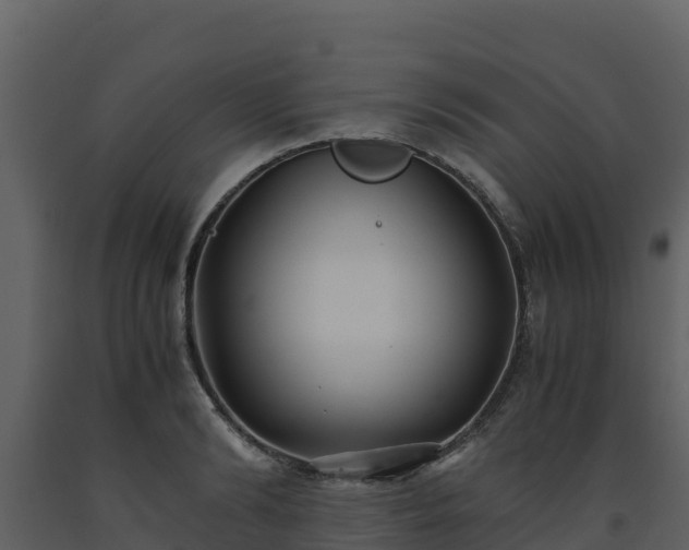 X0000093460894200710191121