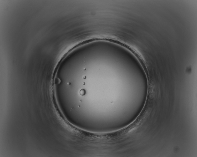 X0000093460895200710191121