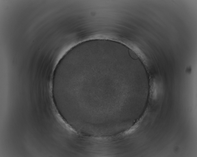 X0000093460896200710191121