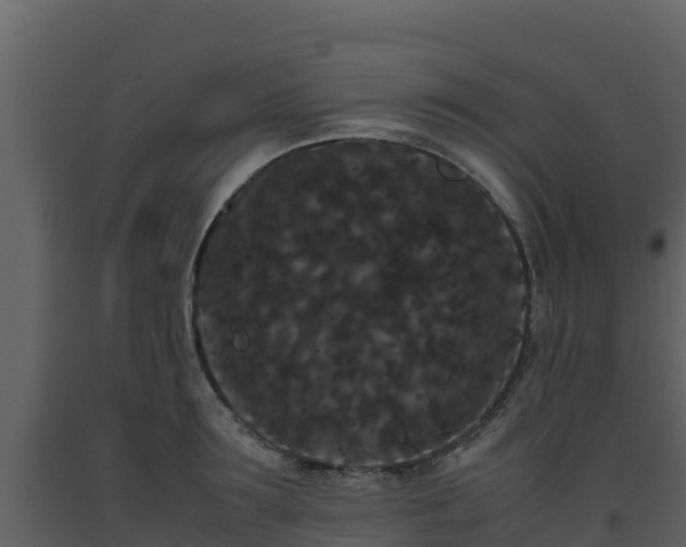 X0000093460899200710191121