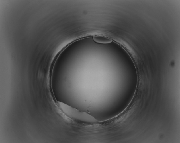 X0000093460902200710191121