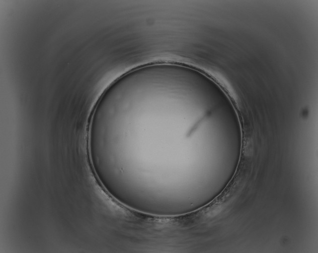 X0000093460903200710191121