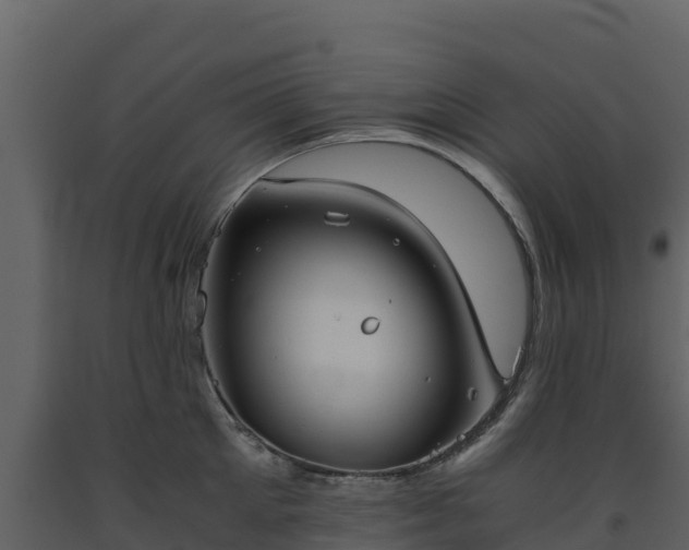 X0000093460905200710191121