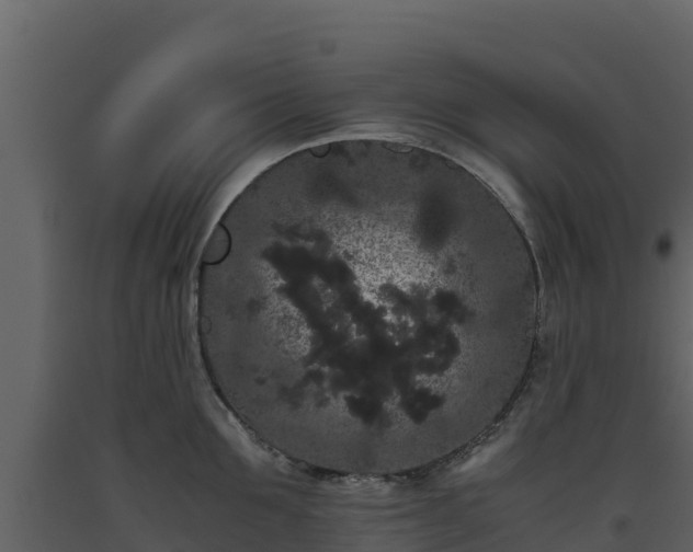 X0000093460907200710191121