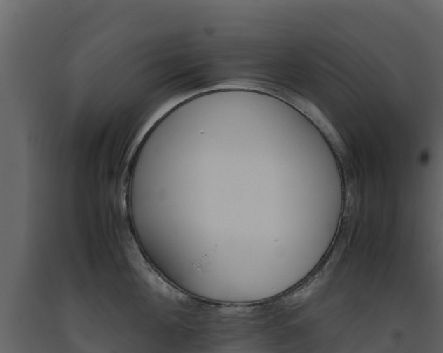 X0000093460908200710191121