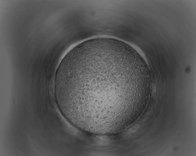 X0000093460911200710191121