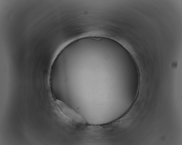 X0000093460912200710191121