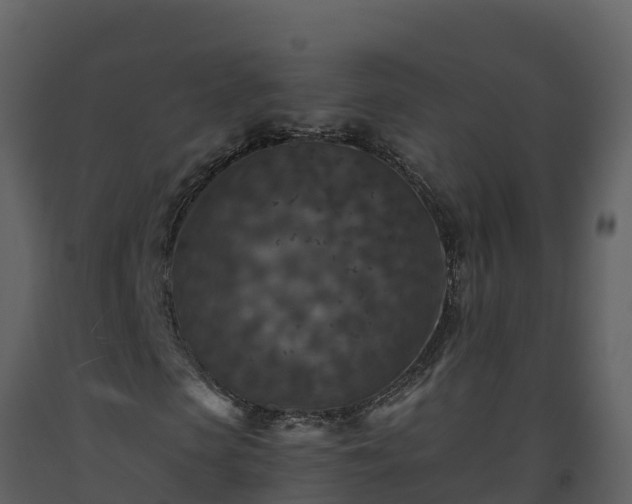 X0000093460913200710191120