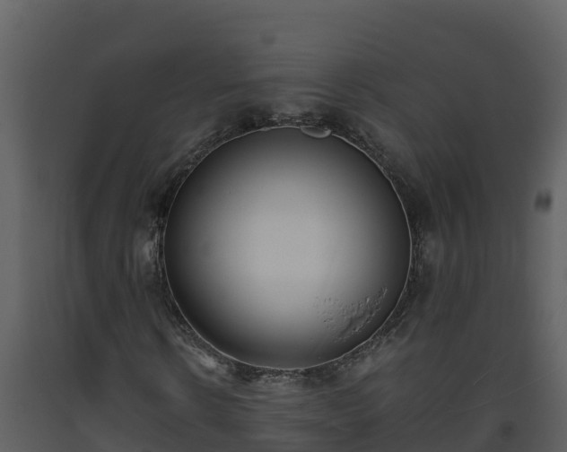 X0000093460914200710191120