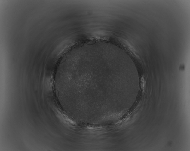 X0000093460915200710191120