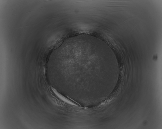 X0000093460916200710191120