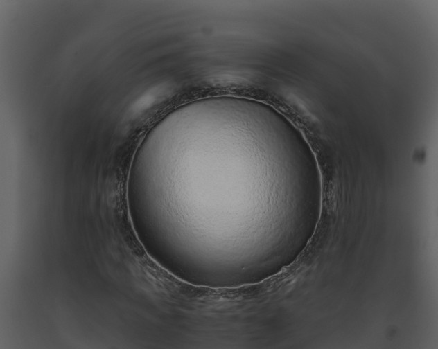 X0000093460917200710191120