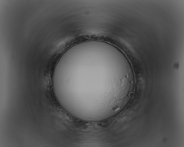 X0000093460918200710191120