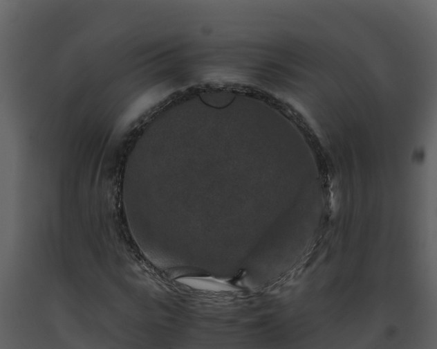 X0000093460919200710191120