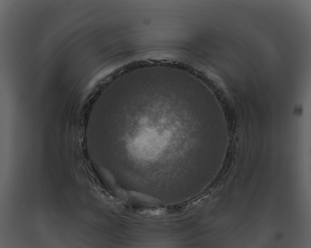 X0000093460920200710191120