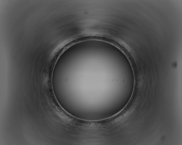 X0000093460922200710191120