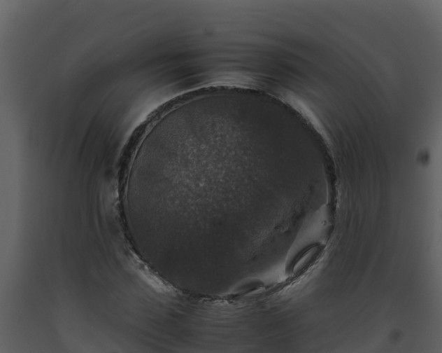 X0000093460923200710191120