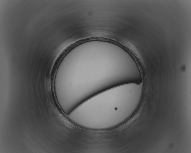 X0000093460924200710191120