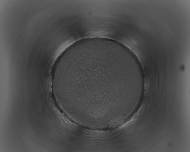 X0000093460925200710191120