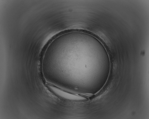 X0000093460926200710191120