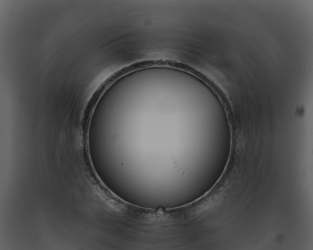 X0000093460927200710191120