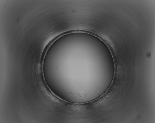 X0000093460928200710191120