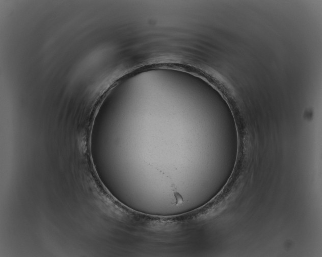 X0000093460929200710191120