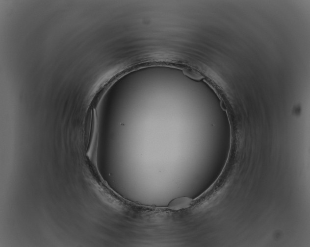 X0000093460930200710191120