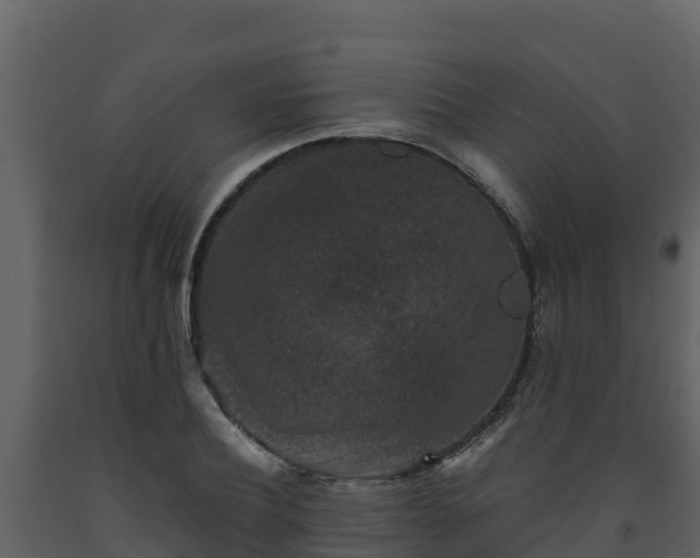 X0000093460932200710191120