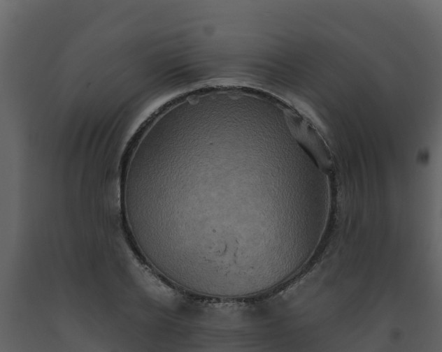 X0000093460934200710191120