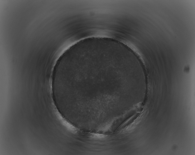 X0000093460935200710191120