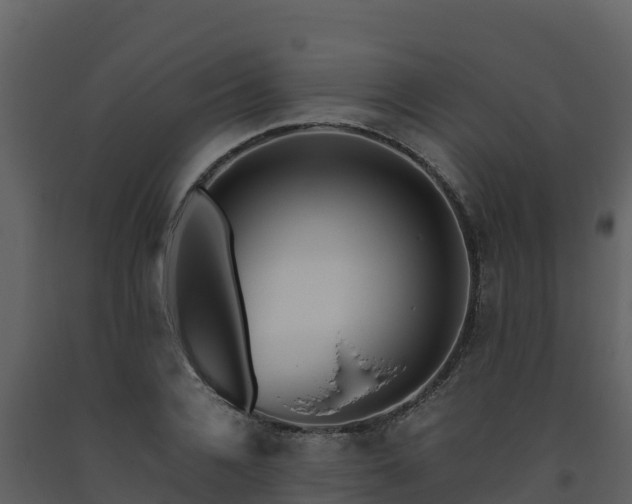 X0000093460936200710191120