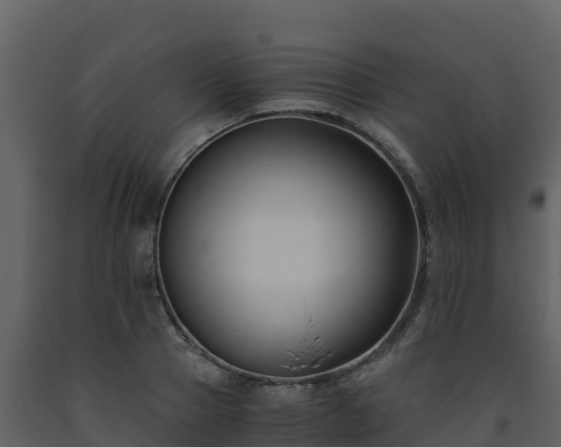 X0000093460937200710191120