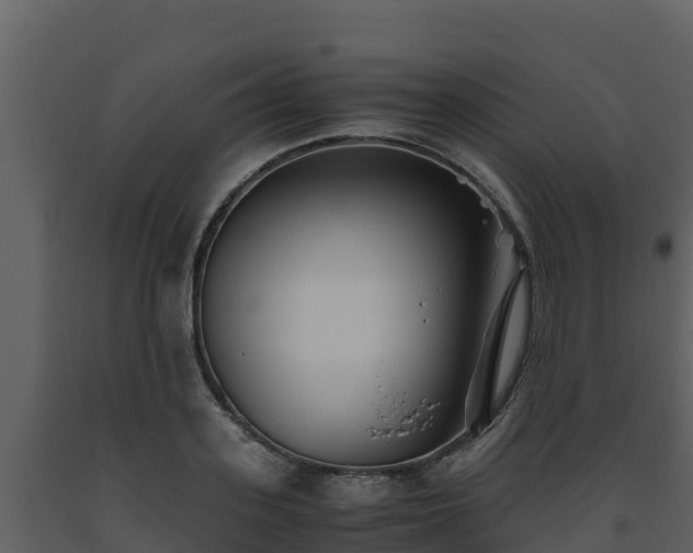 X0000093460939200710191121