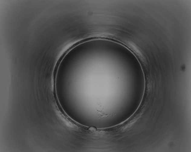 X0000093460940200710191121