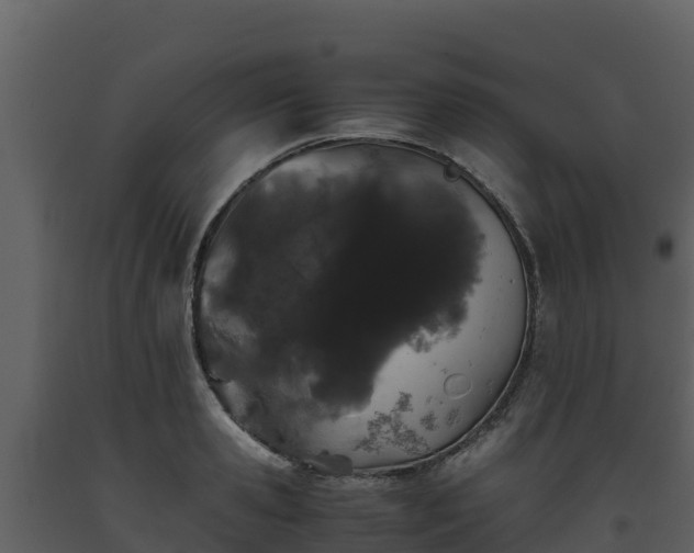 X0000093460941200710191121