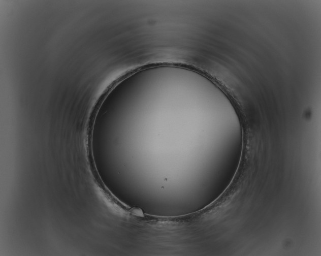 X0000093460942200710191121