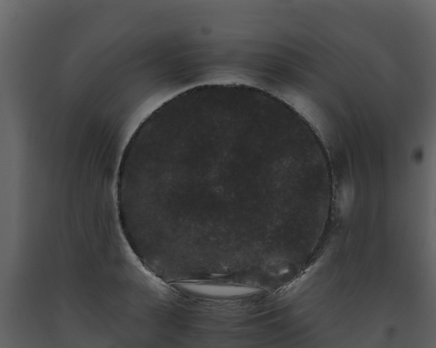 X0000093460943200710191121