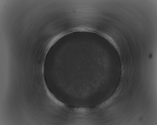 X0000093460946200710191121