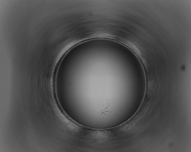 X0000093460947200710191121