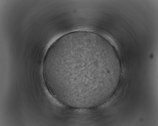 X0000093460952200710191121