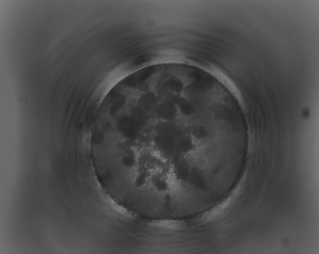 X0000093460953200710191121