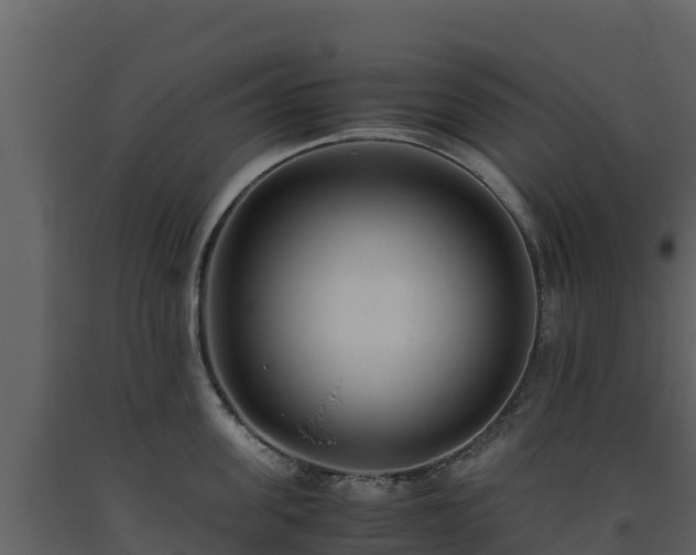 X0000093460955200710191121