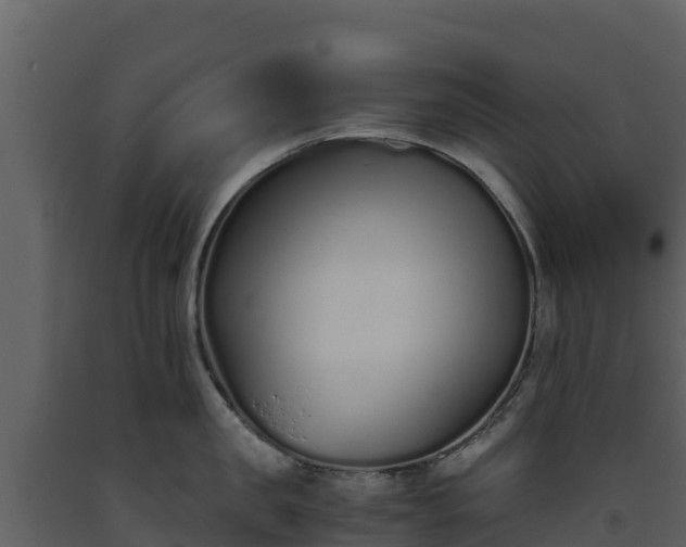 X0000093460957200710191121