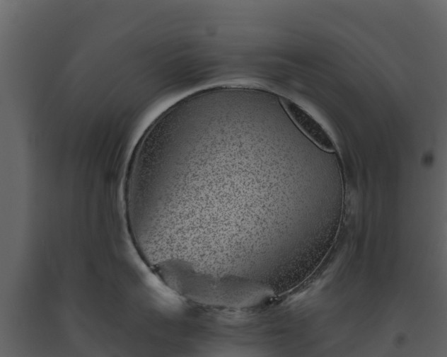 X0000093460959200710191121